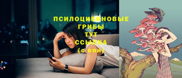 герыч Тосно