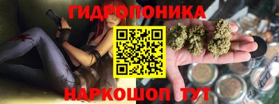 ПСИЛОЦИБИНОВЫЕ ГРИБЫ Берёзовский