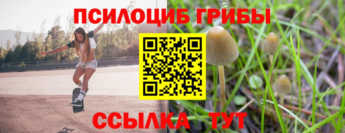 Галлюциногенные грибы прущие грибы Волжский